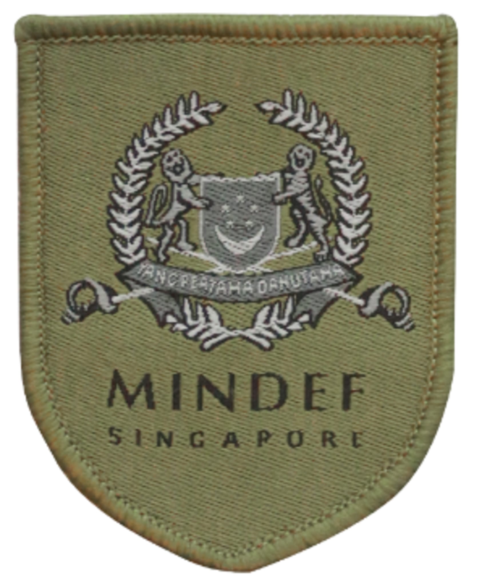 This is the alt text